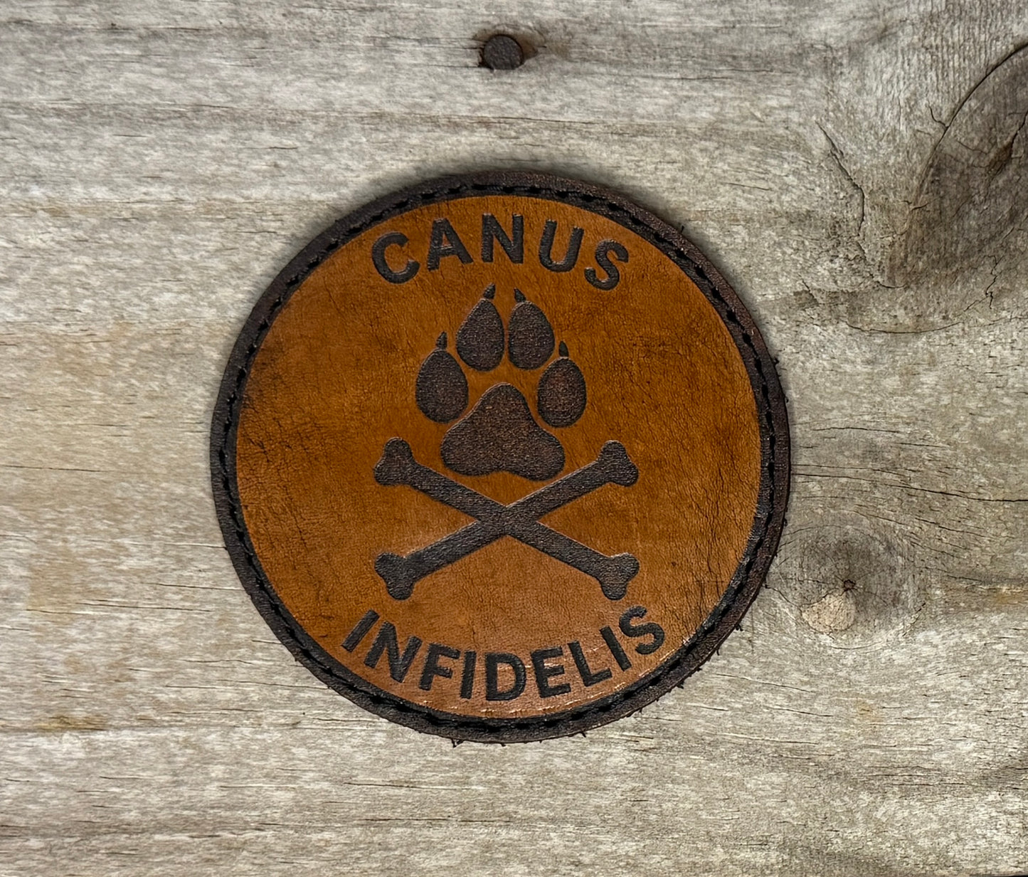 Patch- canus infidelis