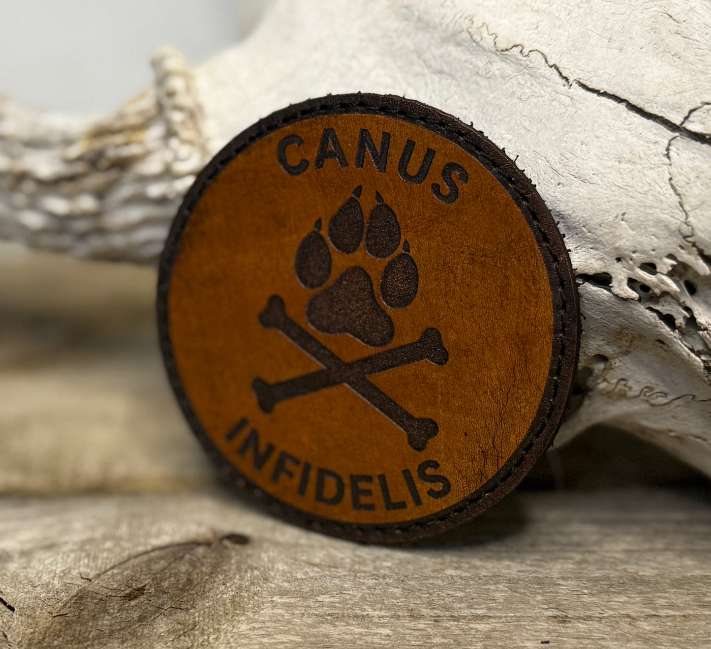 Patch- canus infidelis